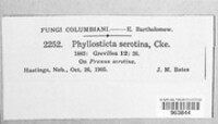 Image Associated With the Occurence